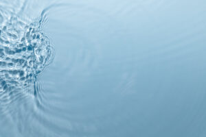 Virtual Water